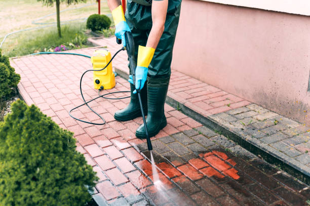 Best Affordable Pressure Washing  in Delavan, IL