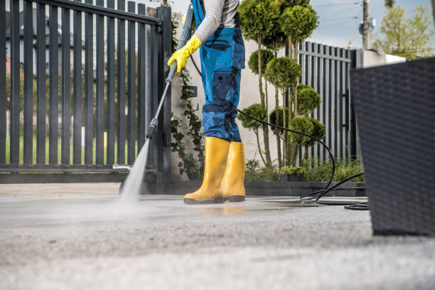 Best Best Pressure Washing Companies  in Delavan, IL