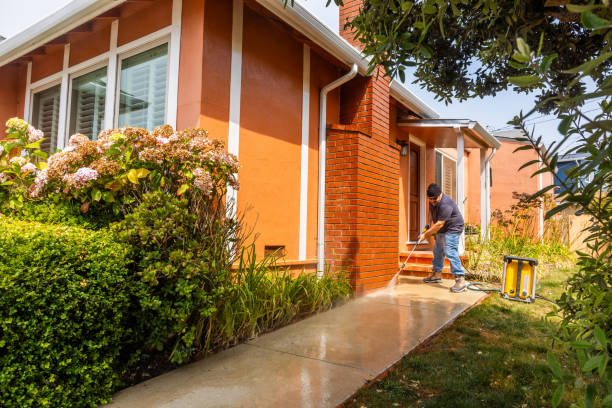 Deck Cleaning Services in Delavan, IL