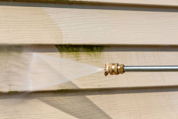 Best Roof Pressure Washing  in Delavan, IL